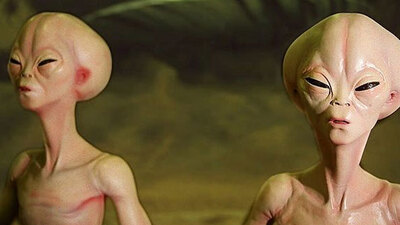 "Sayın Türkçe bilen arkadaşlarımız, sabah şerifleriniz hayrolsun"