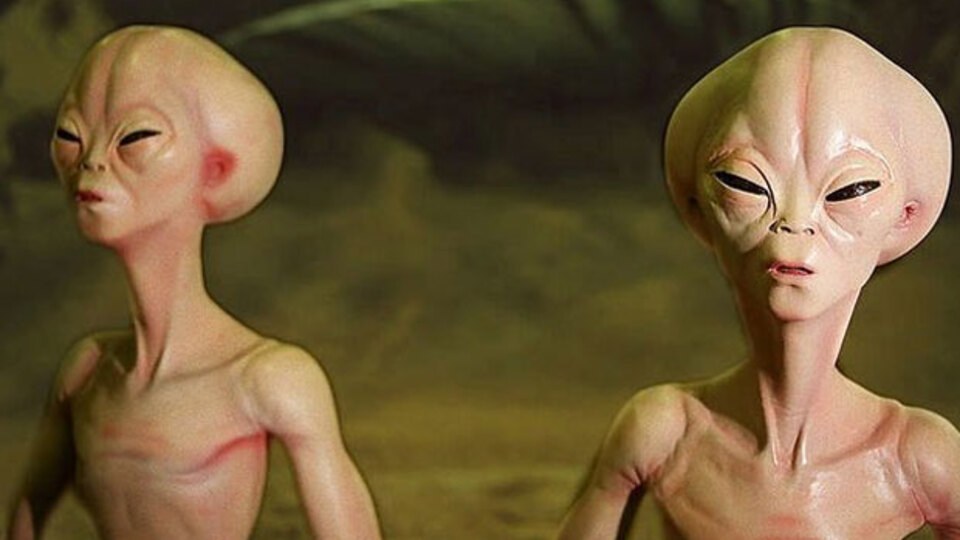 "Sayın Türkçe bilen arkadaşlarımız, sabah şerifleriniz hayrolsun"