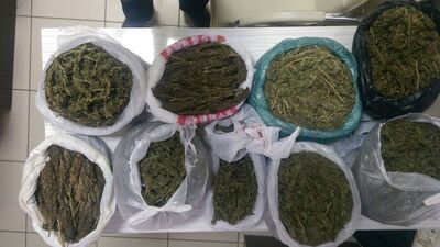 Evde uyuşturucu serası bulundu