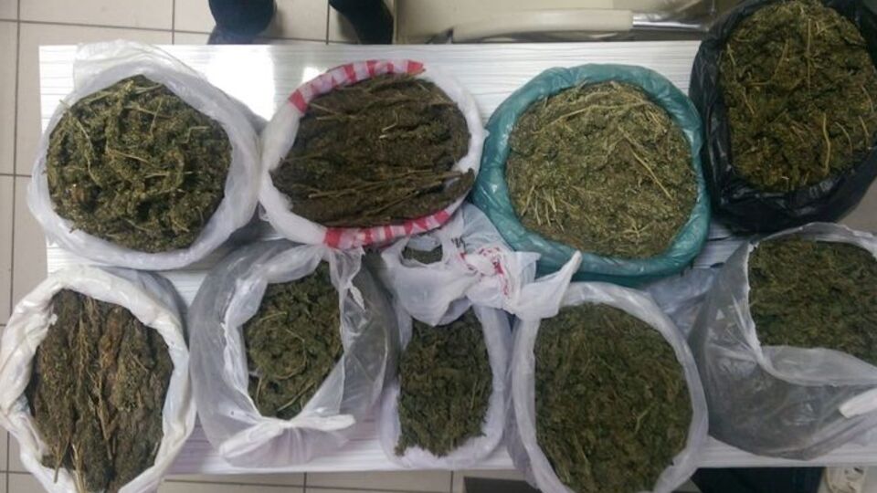 Evde uyuşturucu serası bulundu