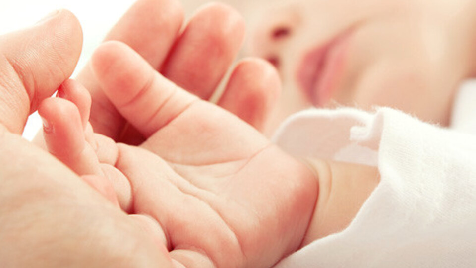 Herpes simpleks virüsü nedir?