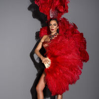 2016 model Sibel