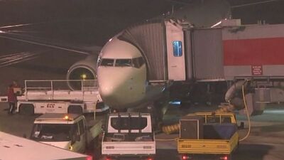 Atatürk Havalimanı'nda uçak köpeğe çarptı