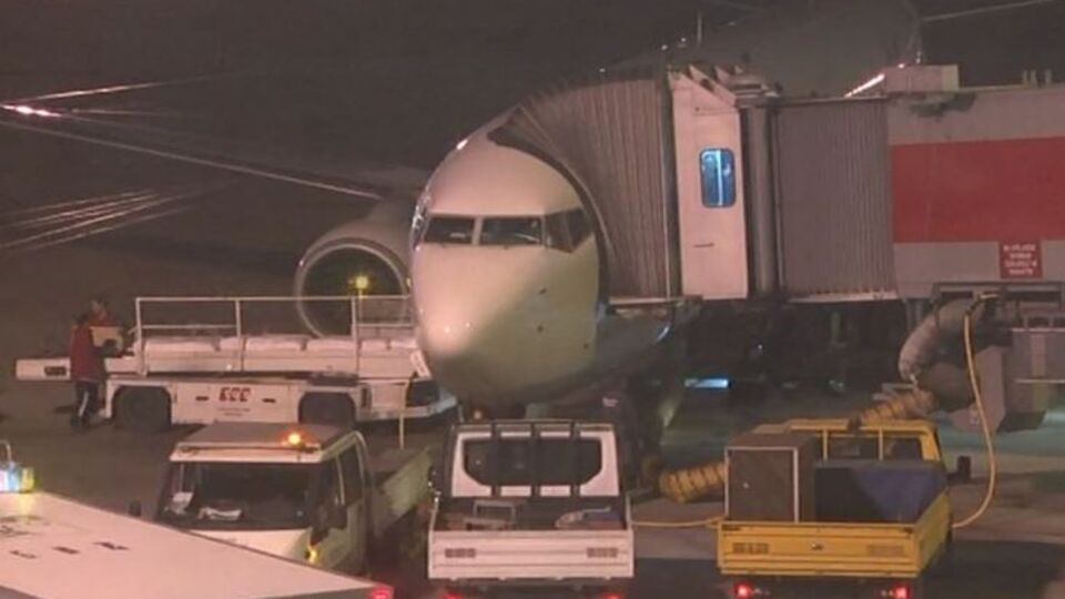 Atatürk Havalimanı'nda uçak köpeğe çarptı