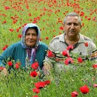 Mersin'de vahşi cinayet!