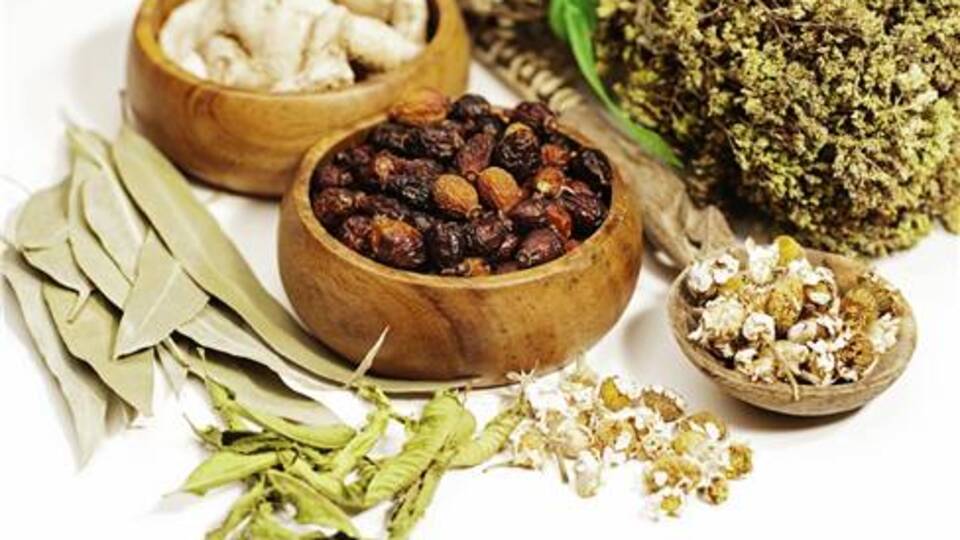 Akademi alternatif tıbba kapılarını açtı