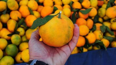 Rusya o ülkeden alacak!