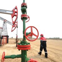 Rus şirketten petrol açıklaması