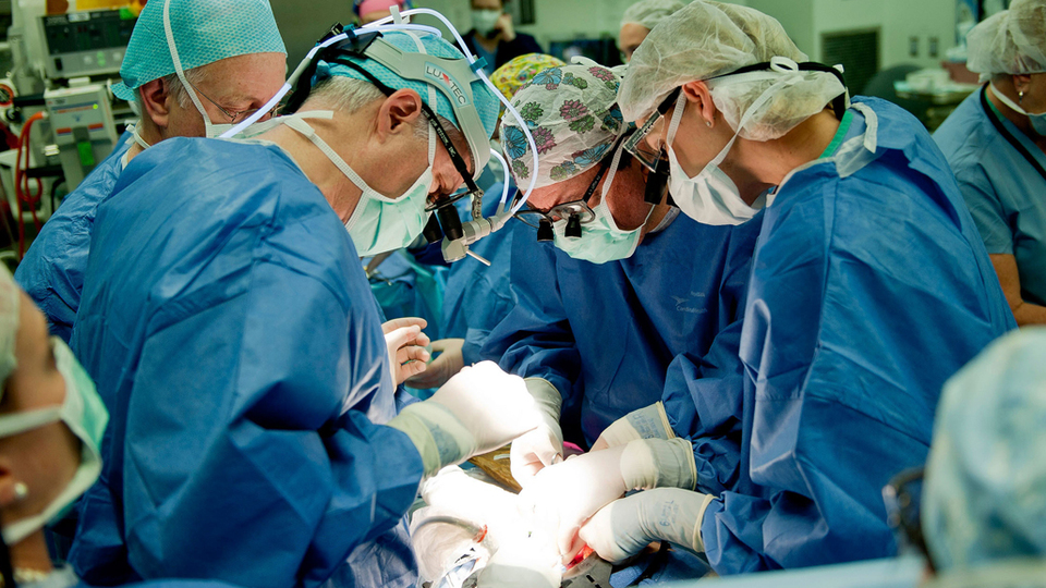 Milyonluk penis nakli...