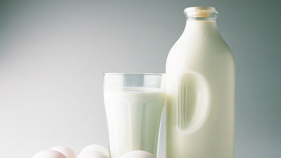 Sütün kalitesi = İneğin yaşamı