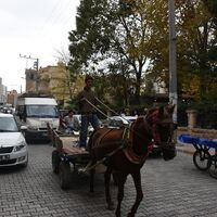 3 ilçede sokağa çıkma yasağı!