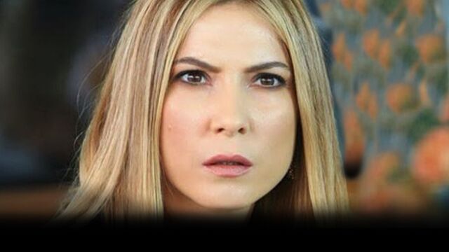 Şebnem Dönmez'in yeni işi