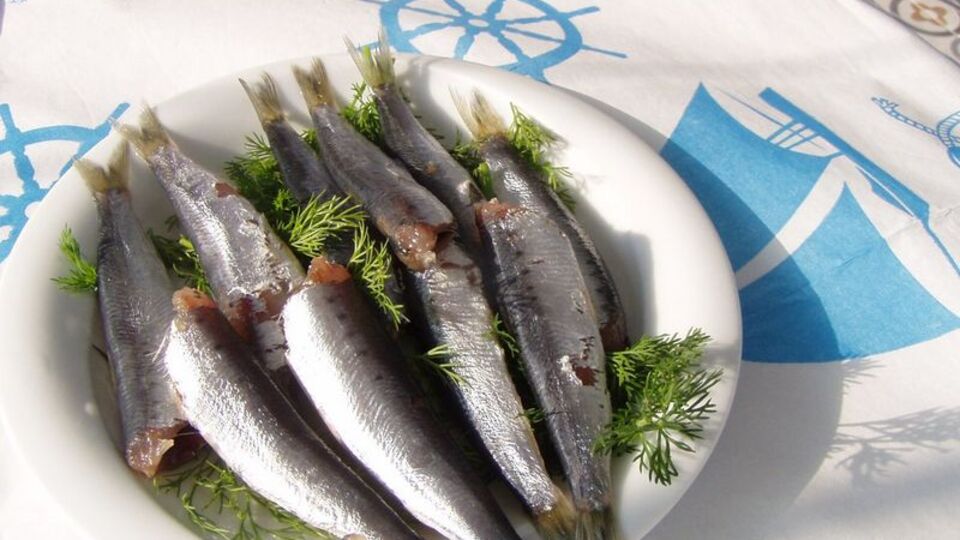 Balıkesir'de turist kandırmacası