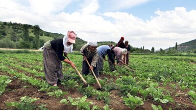 Onlara da 100 TL destek geliyor!