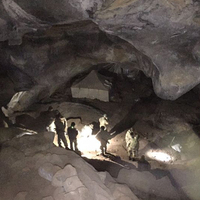 Böylesi ilk kez görüldü!