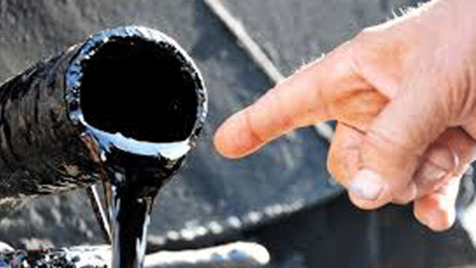 Antibiyotik direncine karşı katran!