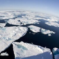 Küresel ısınmada iş gönüllülere kaldı