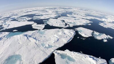 Küresel ısınmada iş gönüllülere kaldı