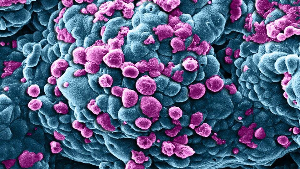 Prof. Dr. Sancar'ın keşfi kanser tedavisinde uygulanıyor…