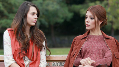 'Acı Aşk' başlıyor