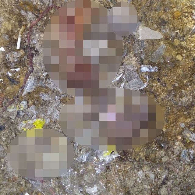 Adana'da çöplükte 26 cenin!