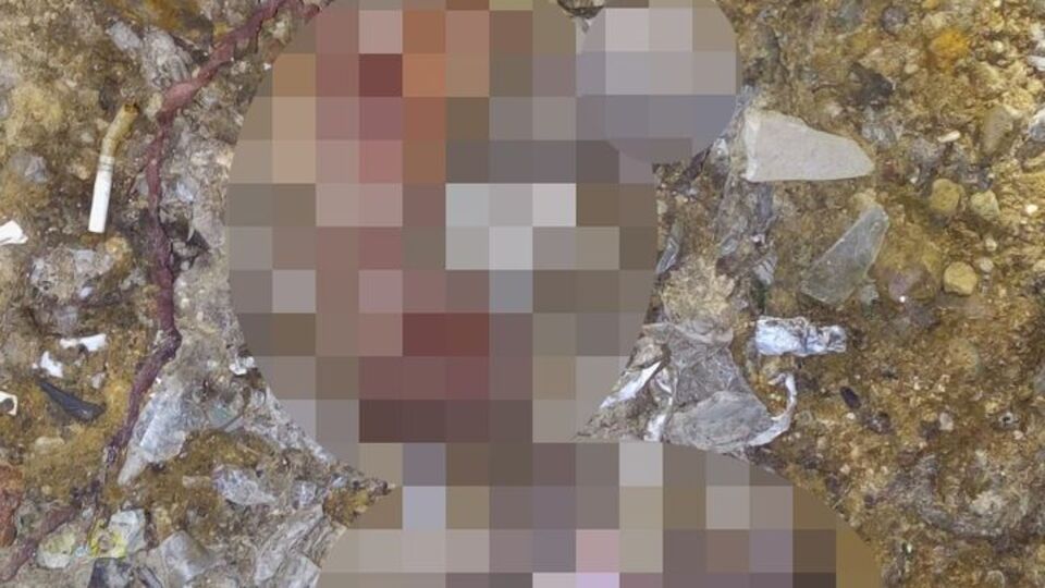 Adana'da çöplükte 26 cenin!