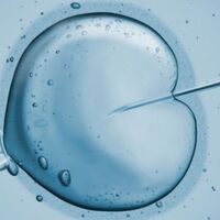 Tüp bebek neden başarısız olur?