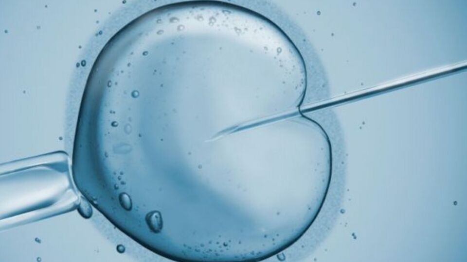 Tüp bebek neden başarısız olur?