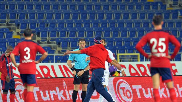 Mersin dibi gördü!