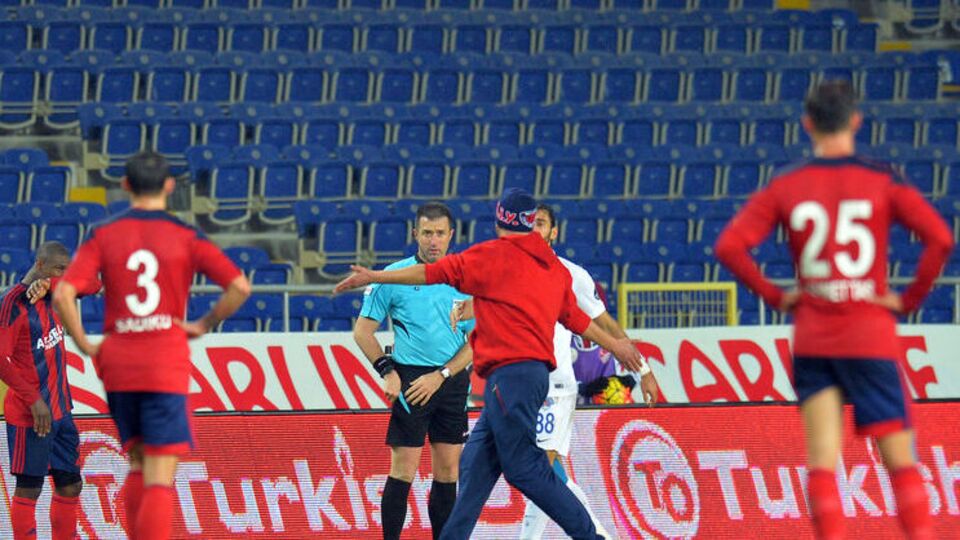 Mersin dibi gördü!