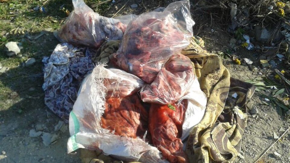 Bursa'da at eti operasyonu!