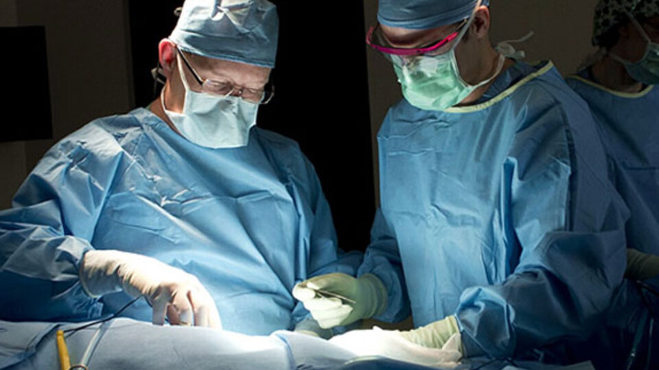 69 bin kişi rahmini, 124 bin kişi yüzünü bağışladı