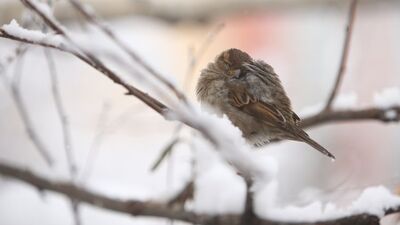 İstanbul'da bugün hava durumu