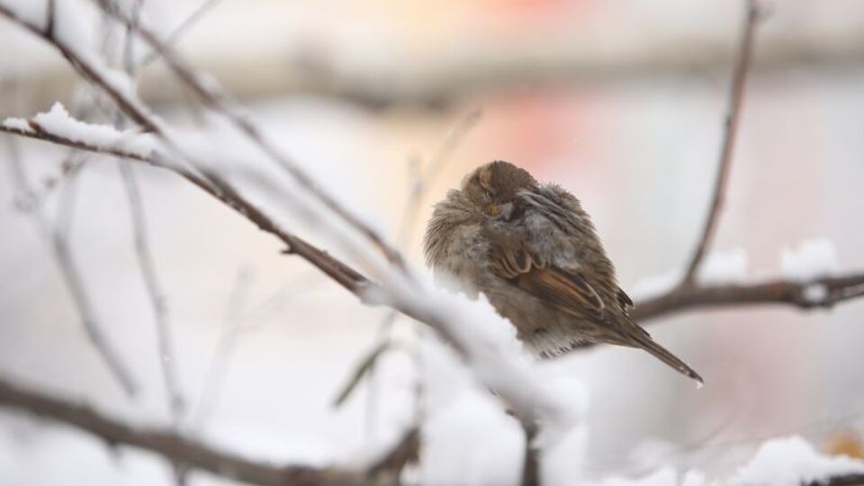 İstanbul'da bugün hava durumu
