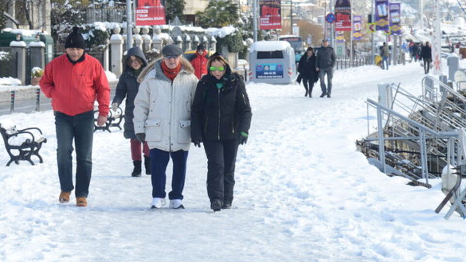 Bebek yürüyüşü