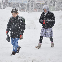 Bitlis, Van ve Mardin'de okullar tatil