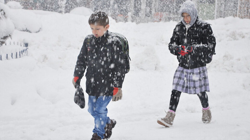 Bitlis, Van ve Mardin'de okullar tatil