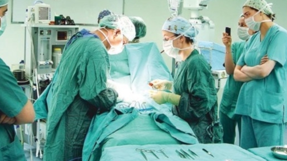 2015'de ne kadar nakil yapıldı?