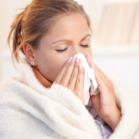 Domuz gribinden böyle korunun!