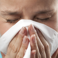 Domuz gribi belirtileri nelerdir?