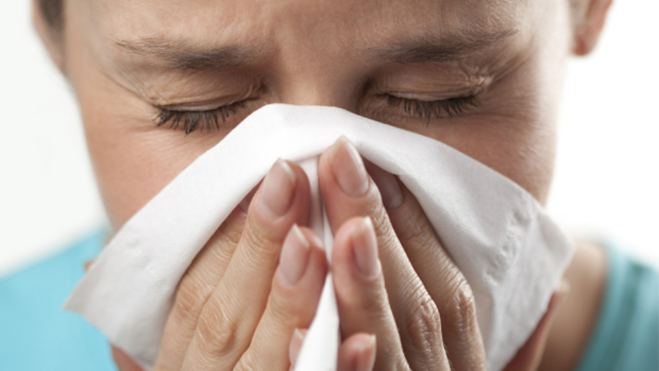 Domuz gribi belirtileri nelerdir?