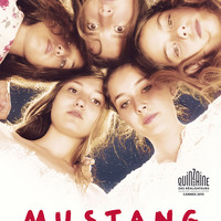 Oscar adayları için tahminlerim