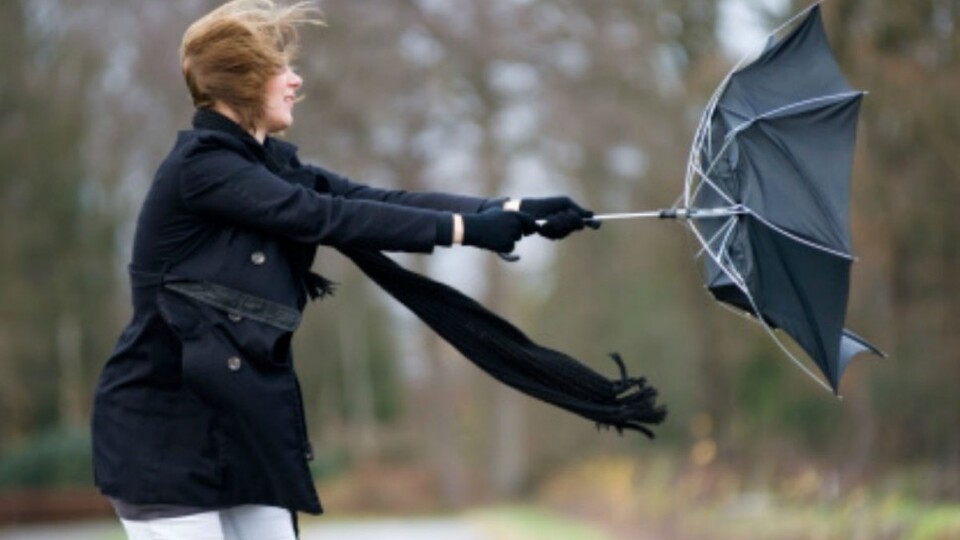 Şiddetli rüzgarın bir faydası da...