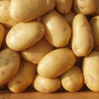 Bu dönemde sakın patates yemeyin!