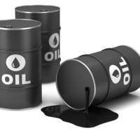 Kimse hayal bile edemiyordu