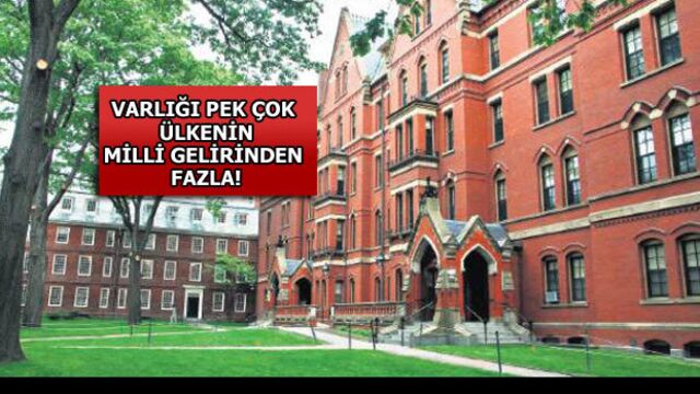 Harvard'ı parasız yapmak için ayaklandılar!