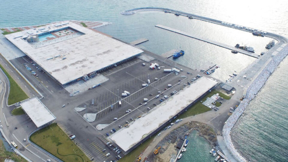 Avrupa'nın en büyük balık hali Gürpınar'da