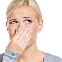 En fazla koku üreten bölgeler!