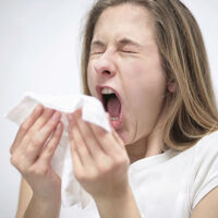 Domuz gribinin diğer griplerden farkı ne?