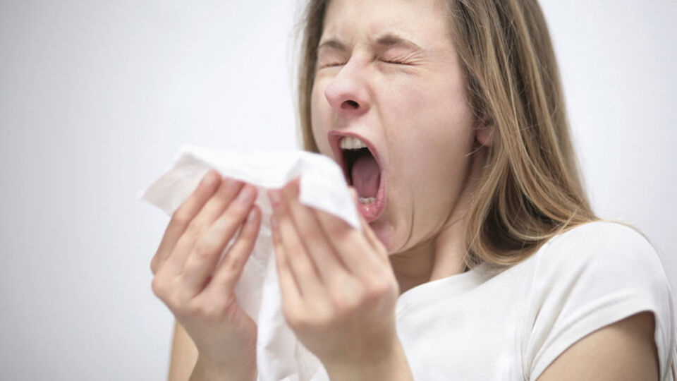 Domuz gribinin diğer griplerden farkı ne?